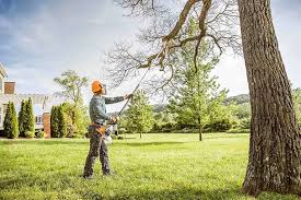 Best Hazardous Tree Removal  in Montrose Ghent, OH